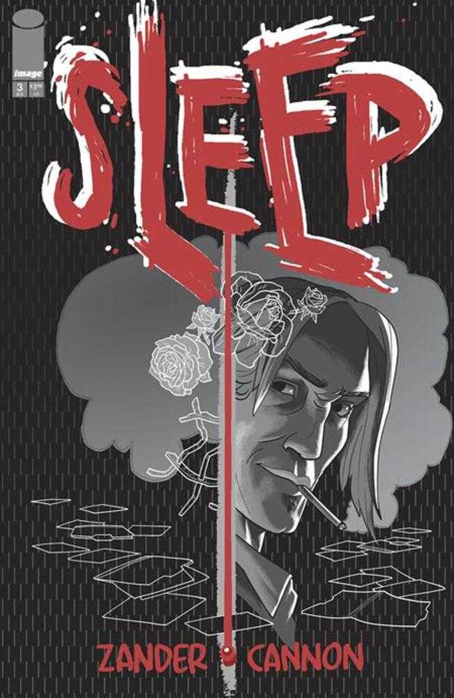 Sleep #3 Cover A Zander Cannon