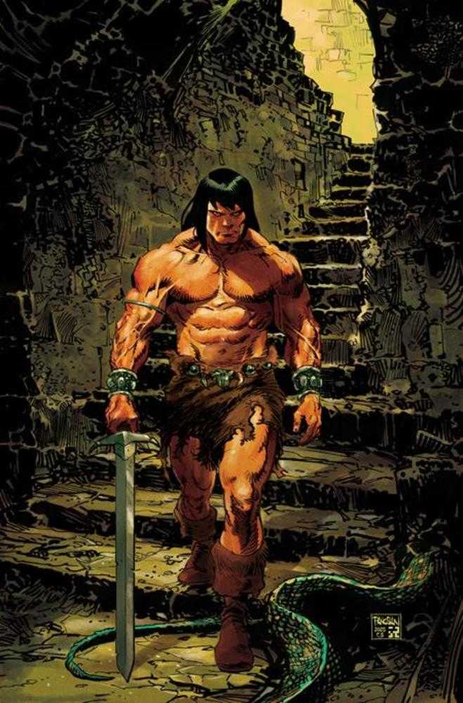 Conan The Barbarian #24 Cover E Dan Panosian Full Art Variant