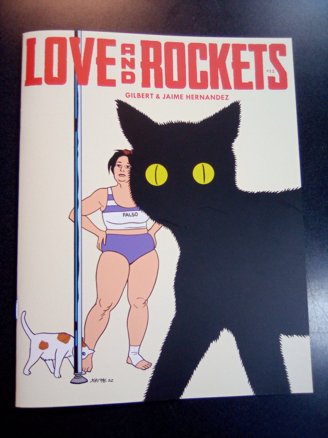 Love & Rockets #13