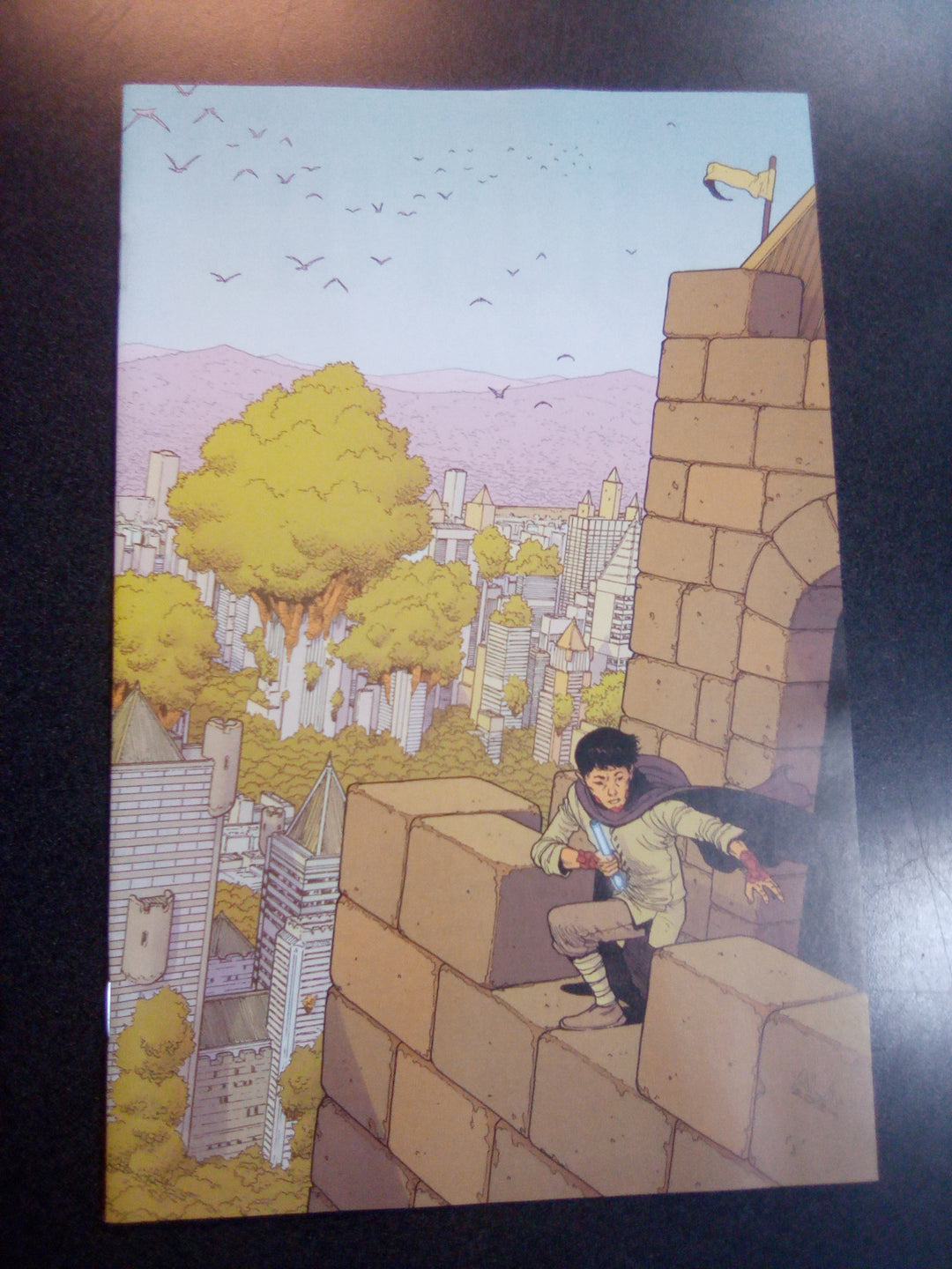 Lawful #3 (Of 8) Cover D 25 Copy Variant Edition Araujo