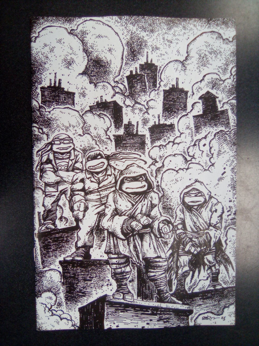 Teenage Mutant Ninja Turtles #10 Variant Ri (10) (Eastman Full Art)