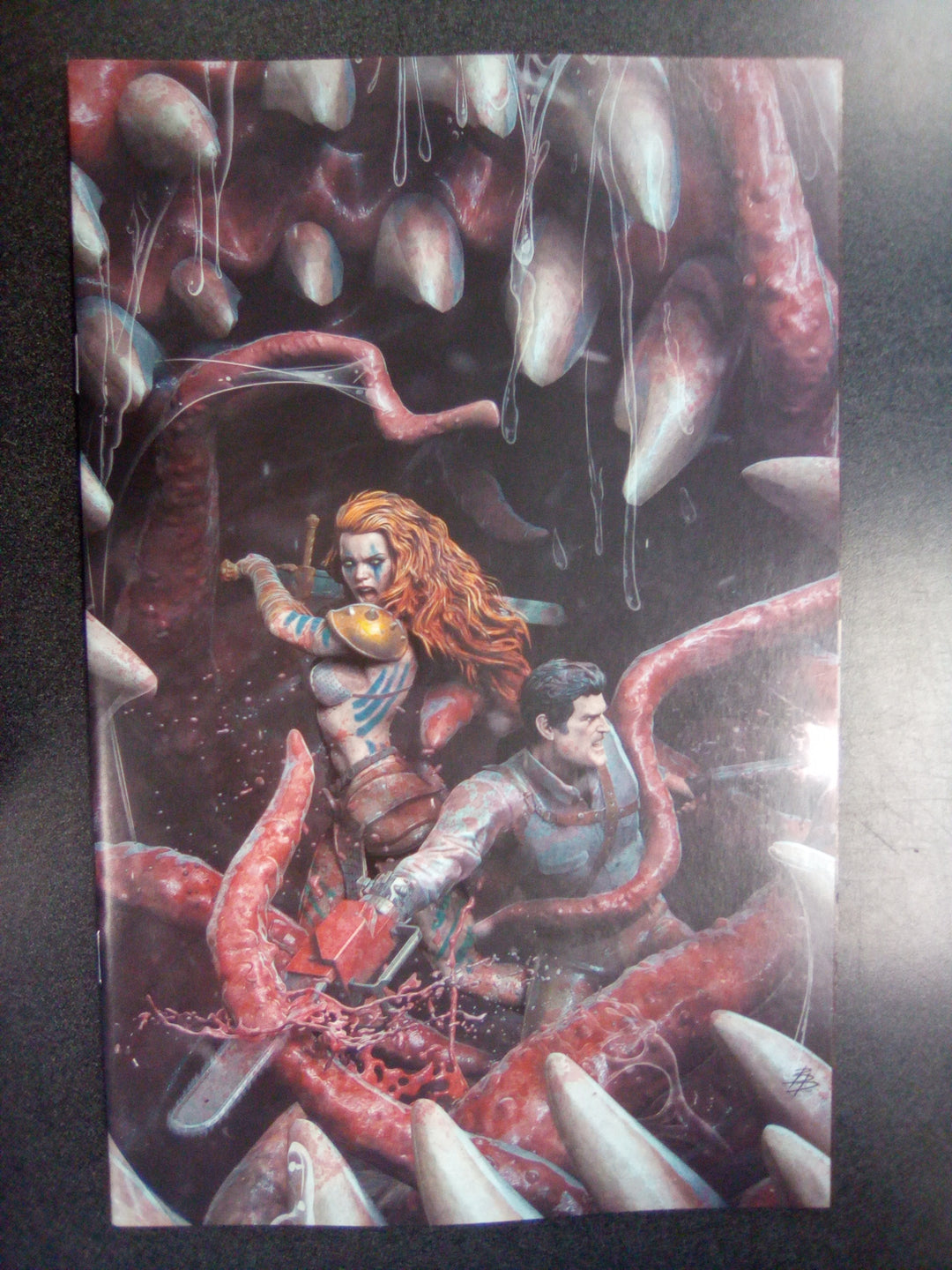 Red Sonja vs Army Of Darkness #5 Cover J 1:15 Bjorn Barends Full Art Variant