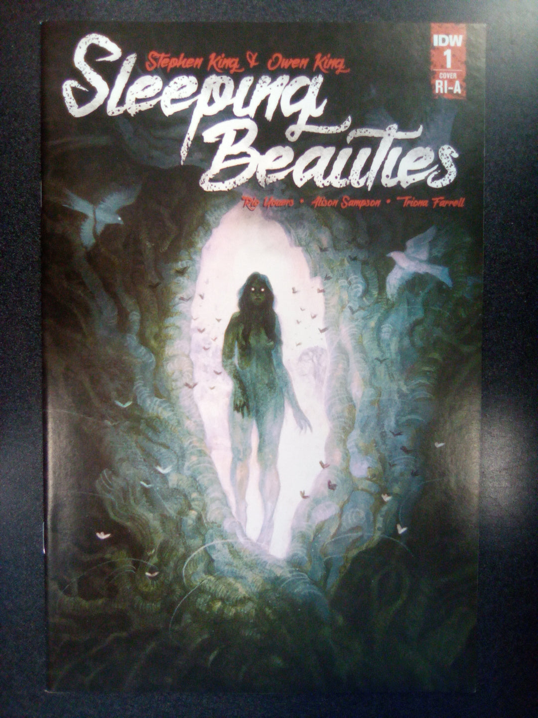 Sleeping Beauties #1 (2020) 1:10 Heidersdorf Variant