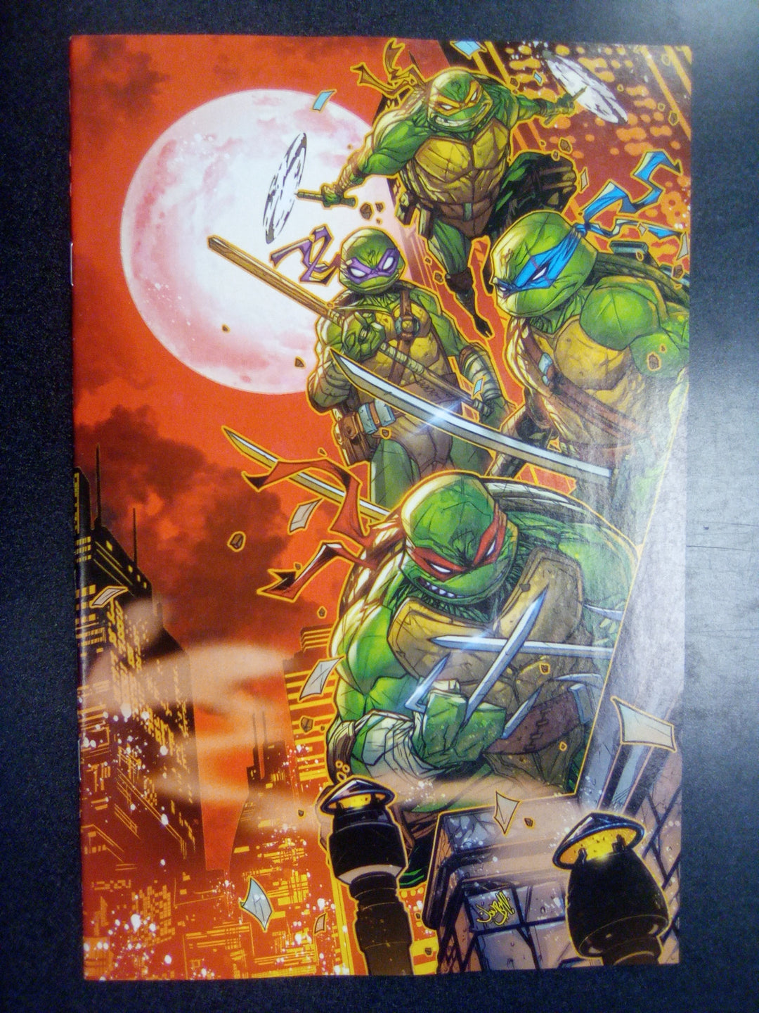 Teenage Mutant Ninja Turtles #12 Variant Ri (50) (Meyers Full Art)