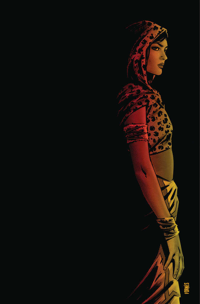 Pantha #3 Cover I 25 Copy Variant Edition Fornes Virgin
