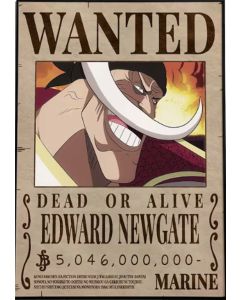 One Piece - Wanted Edward Newgate