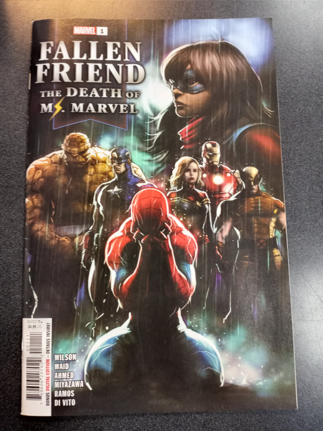 Fallen Friend #1