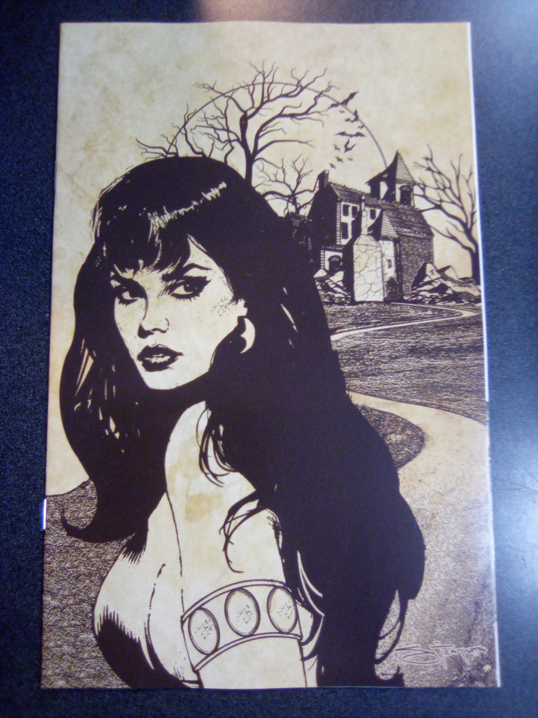 Vampirella Dead Flowers #1 (Of 4) Cover L 15 Copy Variant Edition Frazett