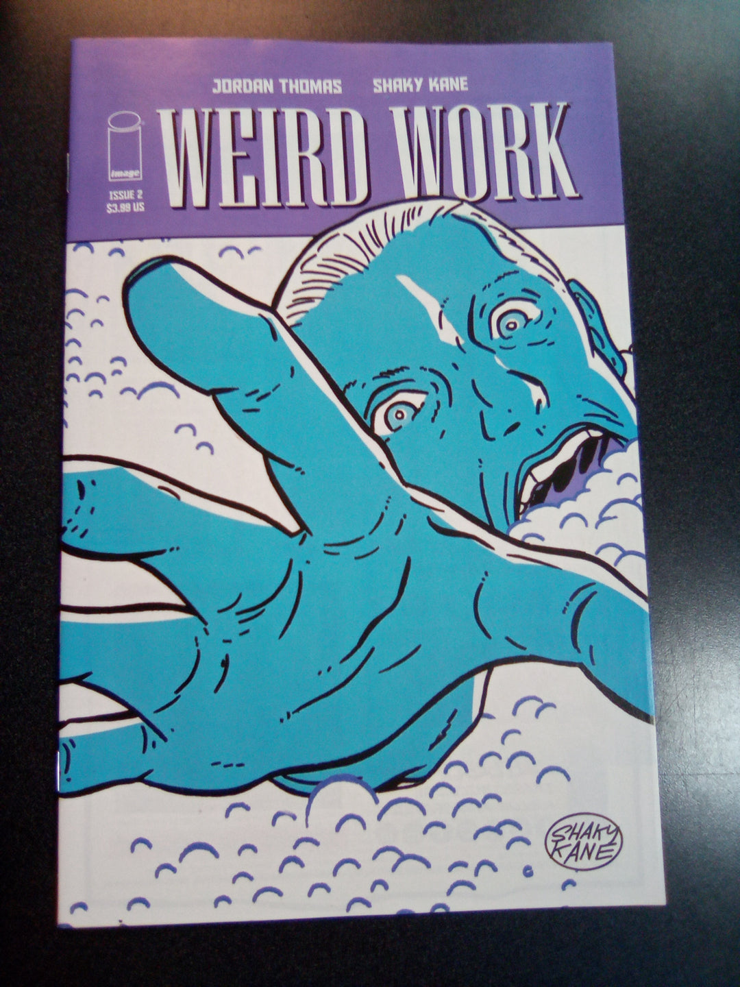 Weird Work #2 (Of 4) Cover A Kane (Mature)