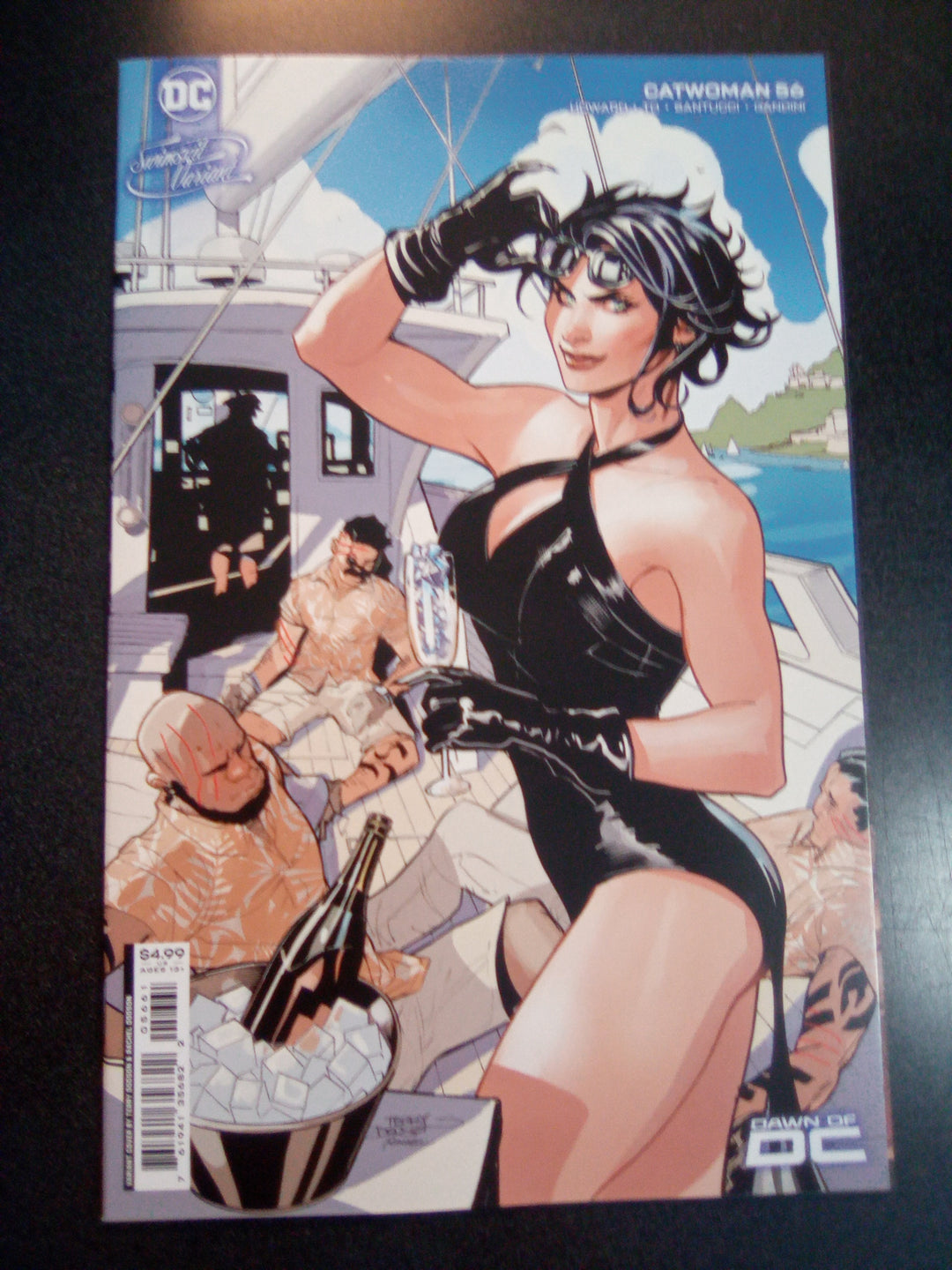 Catwoman #56 Cover D Terry Dodson & Rachel Dodson Swimsuit Card Stock Variant