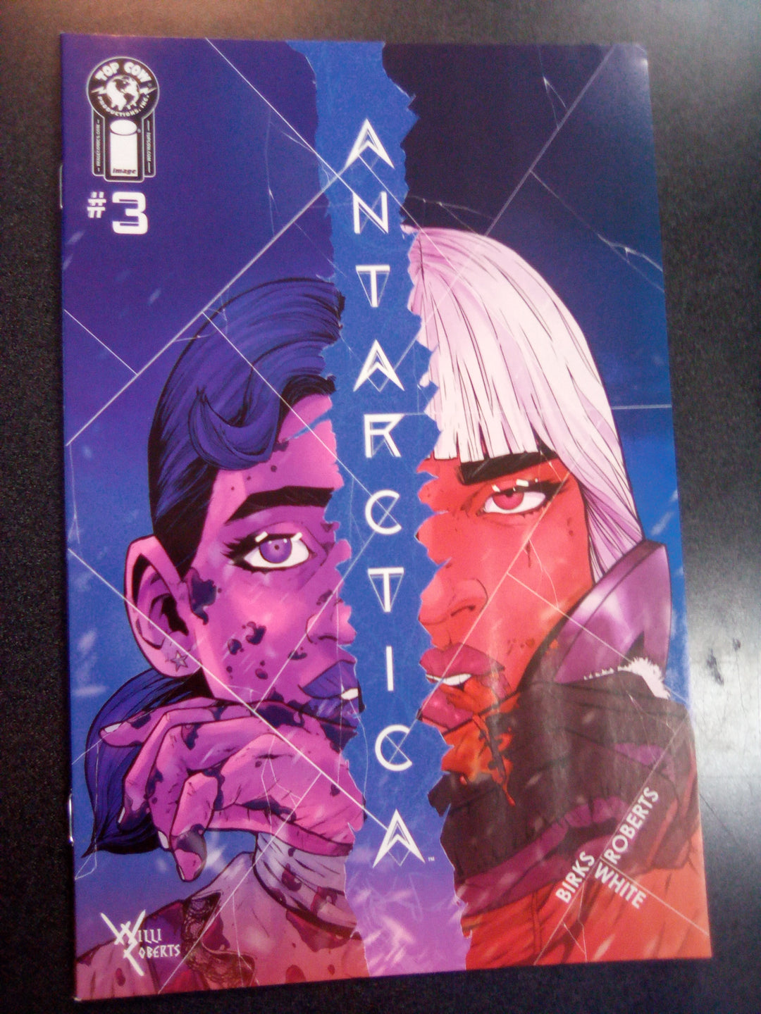 Antarctica #3 (Of 10) Cover A Willi Roberts