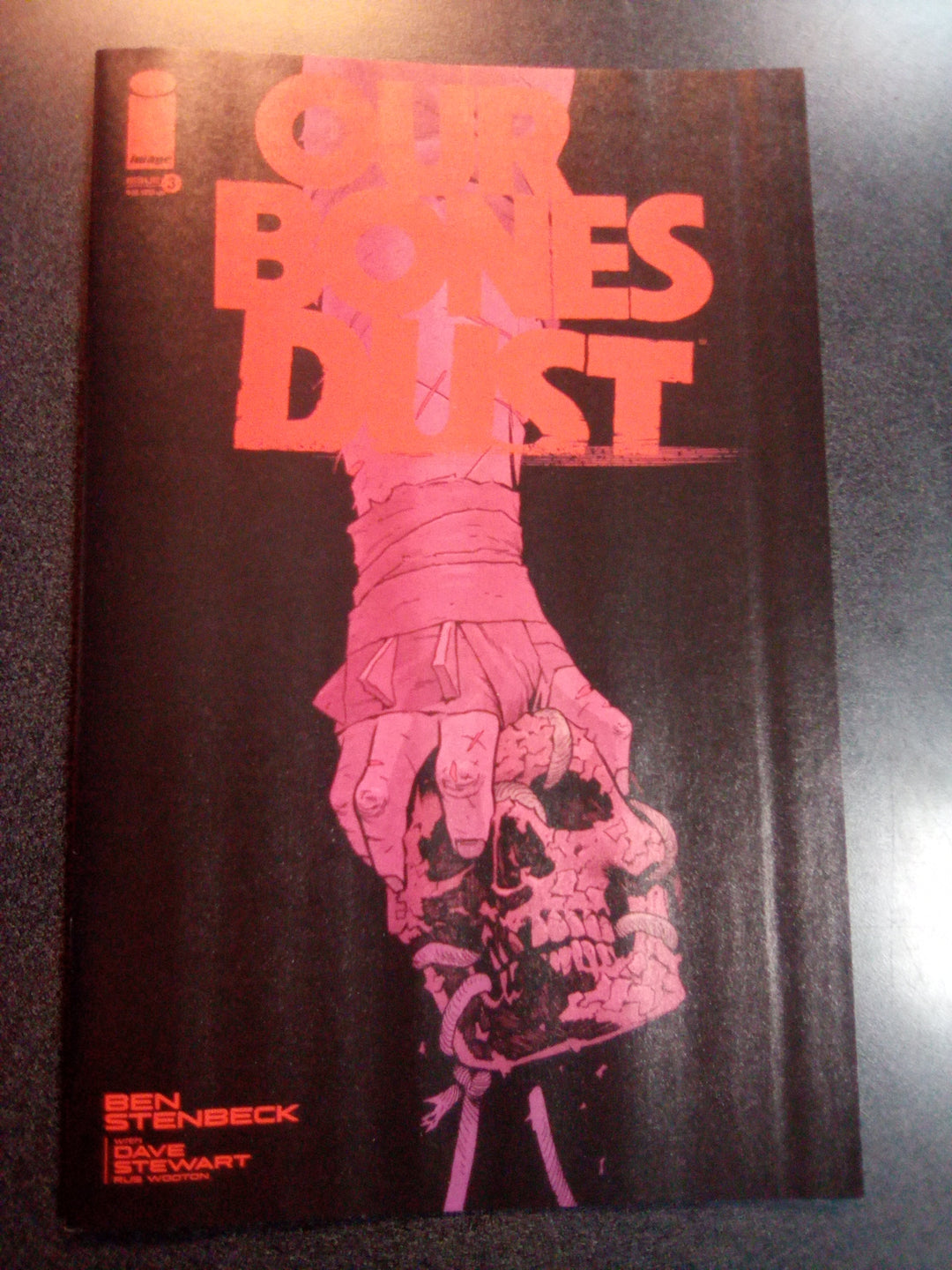 Our Bones Dust #3 (Of 4) Cover A Stenbeck