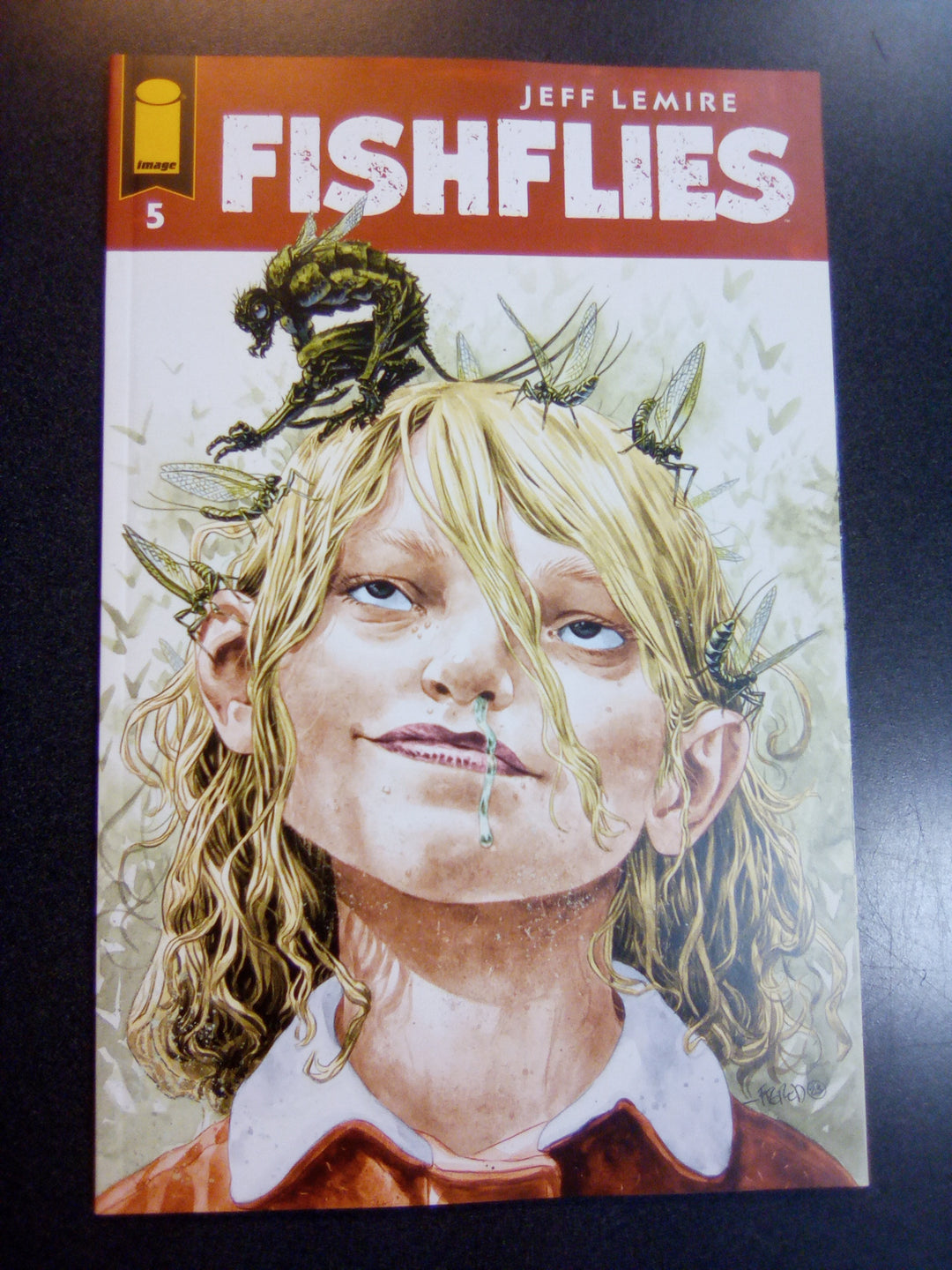 Fishflies #5 (Of 7) Cover B Duncan Fegredo Variant