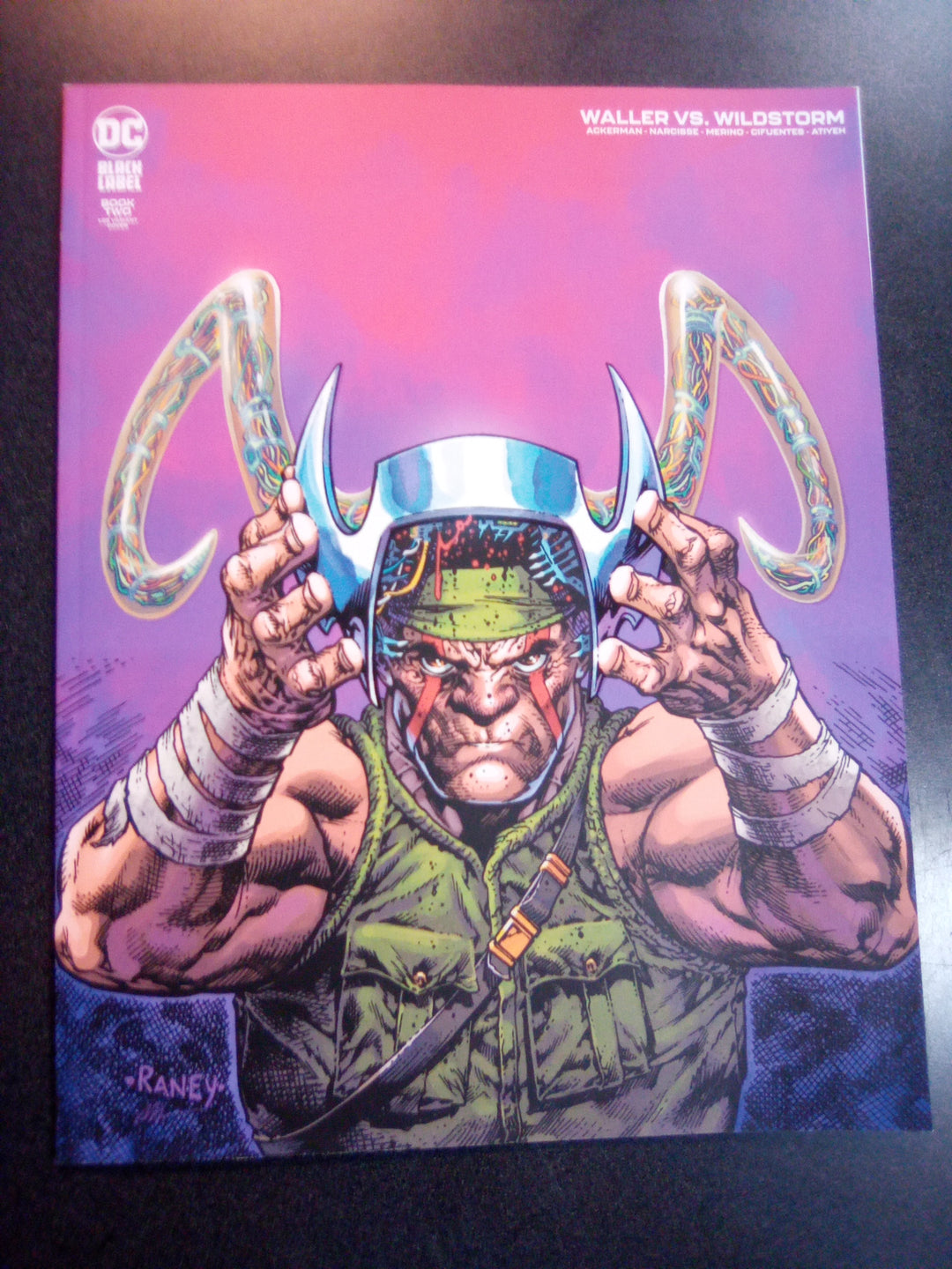 Waller vs Wildstorm #2 (Of 4) Cover C 1 in 25 Tom Raney Variant