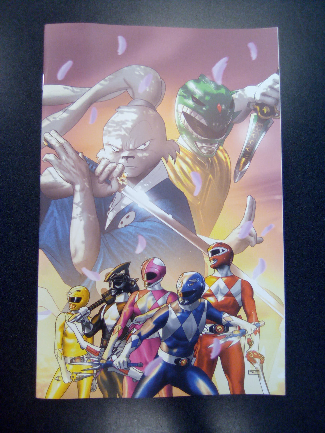 Mighty Morphin Power Rangers Usagi Yojimbo #1 Cover F 10 Variant Edition