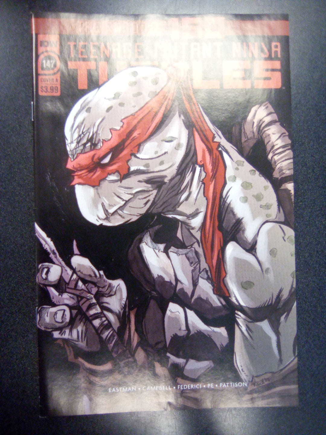 Teenage Mutant Ninja Turtles #147 Cover A (Federici)