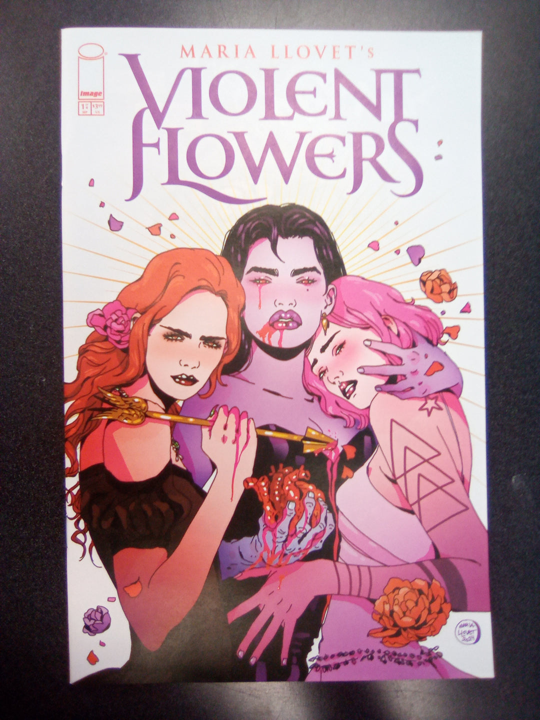 Violent Flowers #1 (Of 4) Cover A Maria Llovet