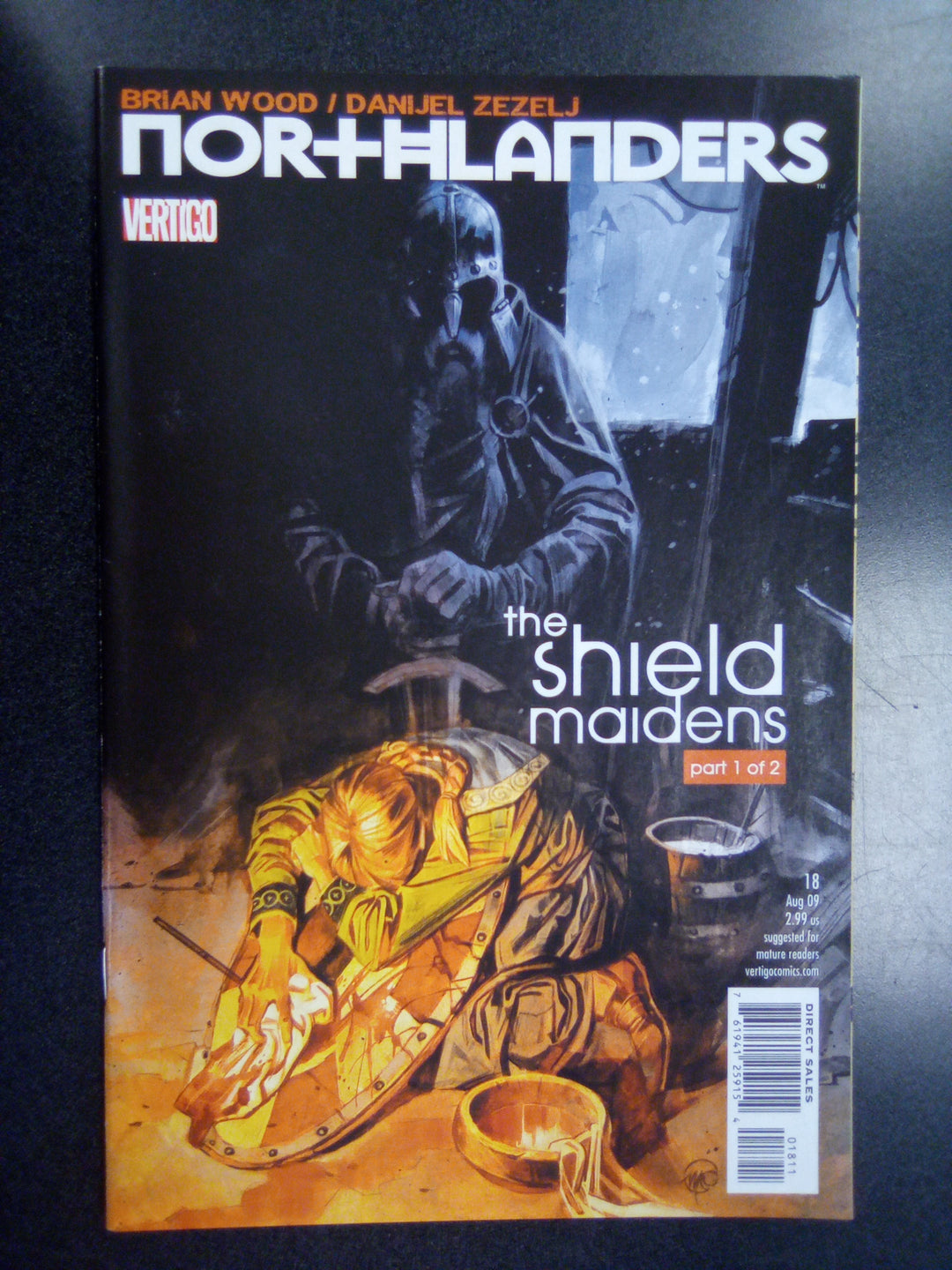 Northlanders #18 (2009) The Shield Maidens Part 1