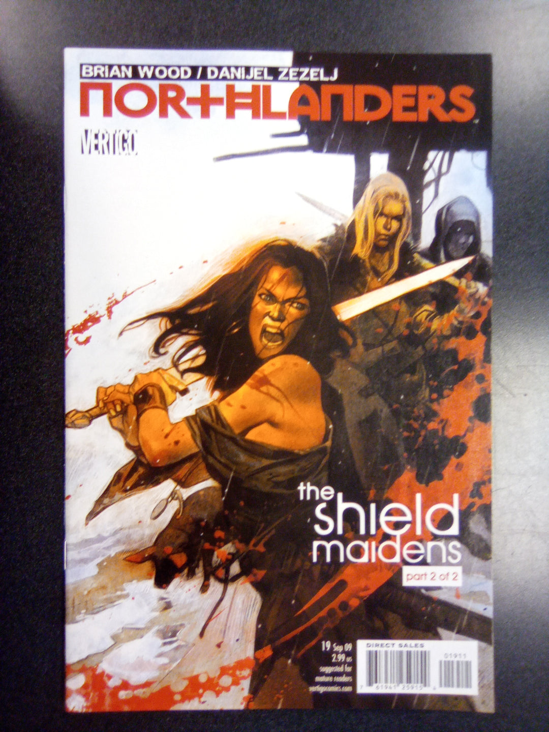 Northlanders #19 (2009) The Shield Maidens Part 2
