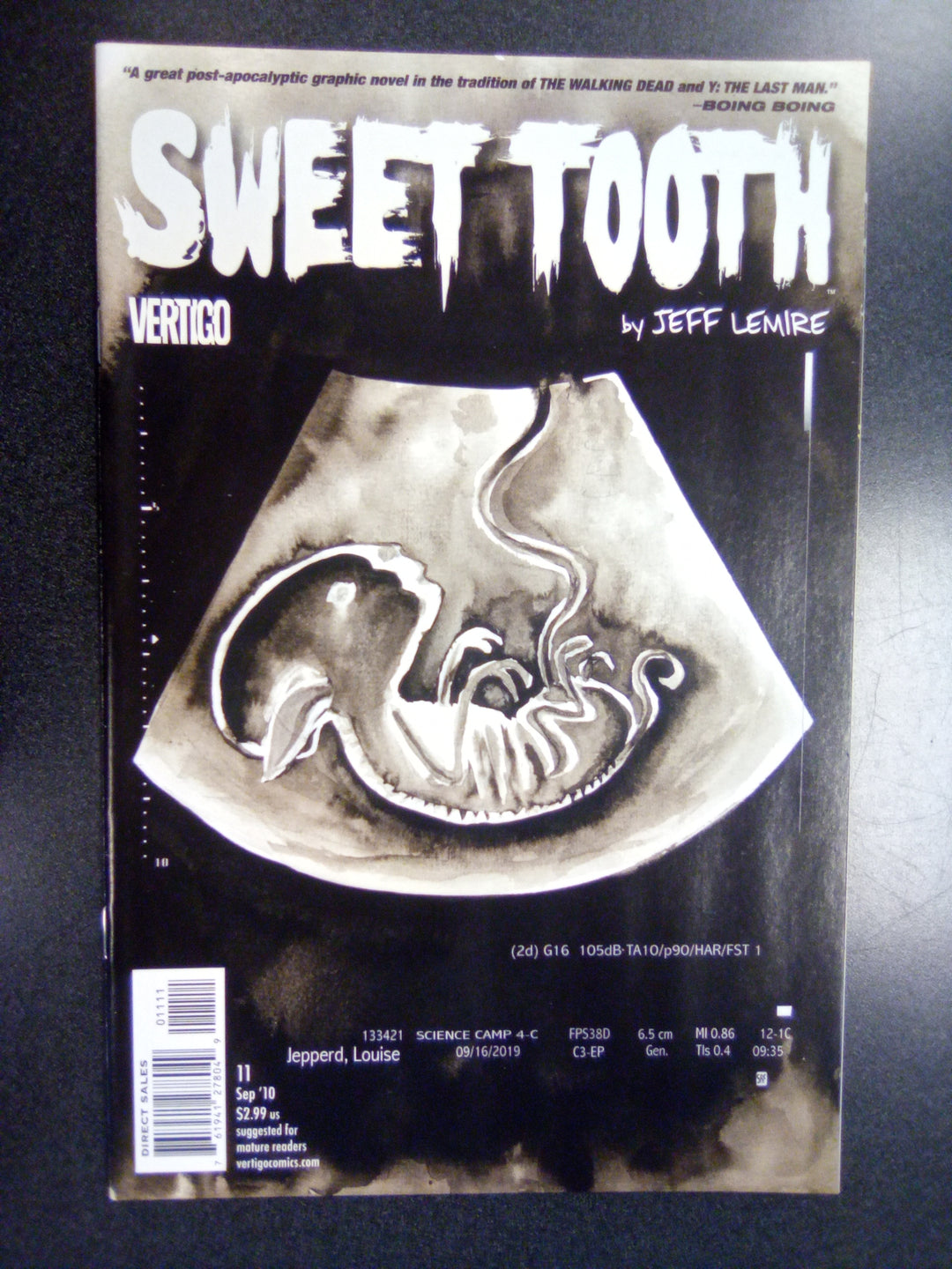 Sweet Tooth #11 (2010)