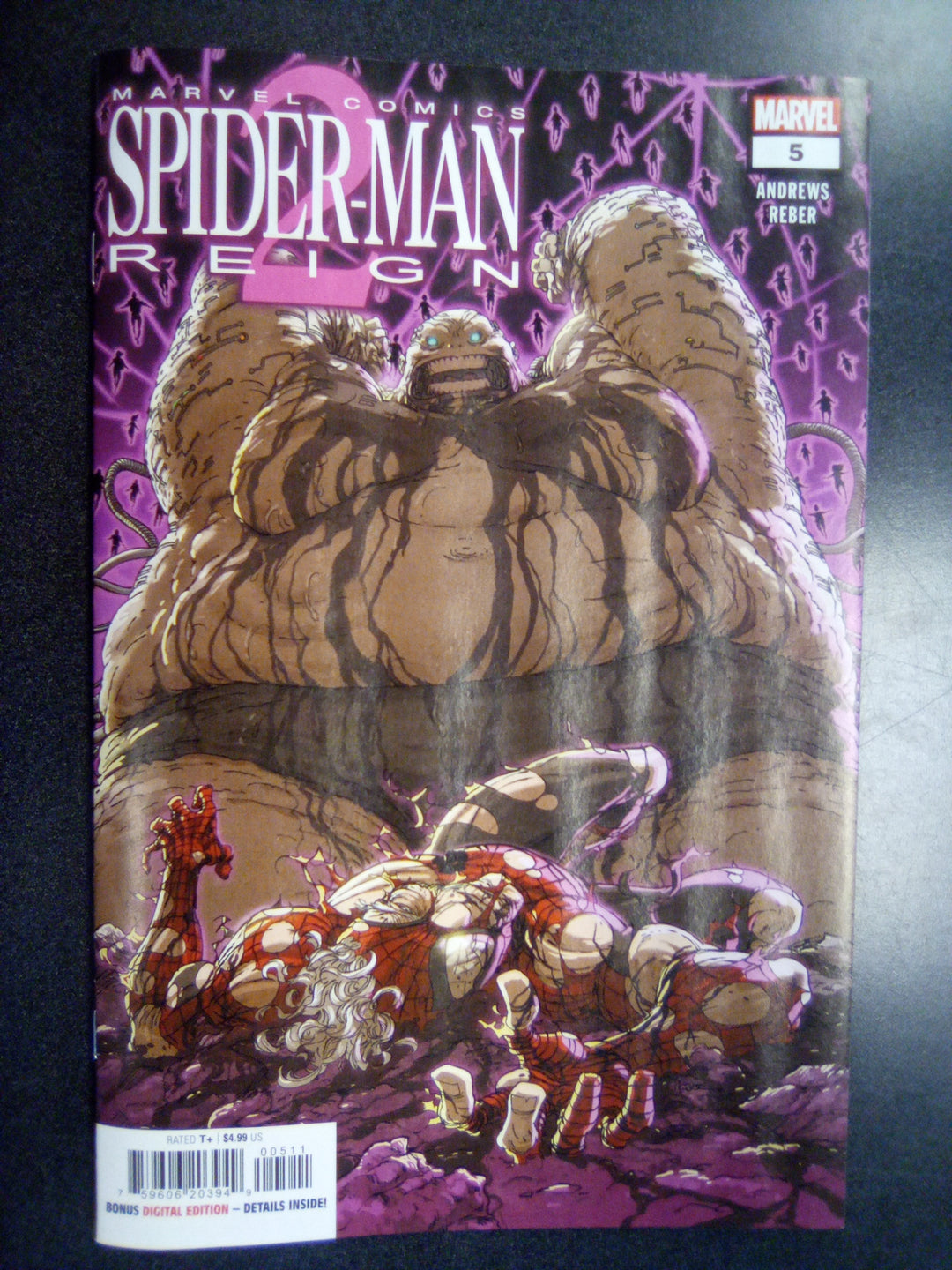 Spider-Man Reign 2 #5 (Of 5)