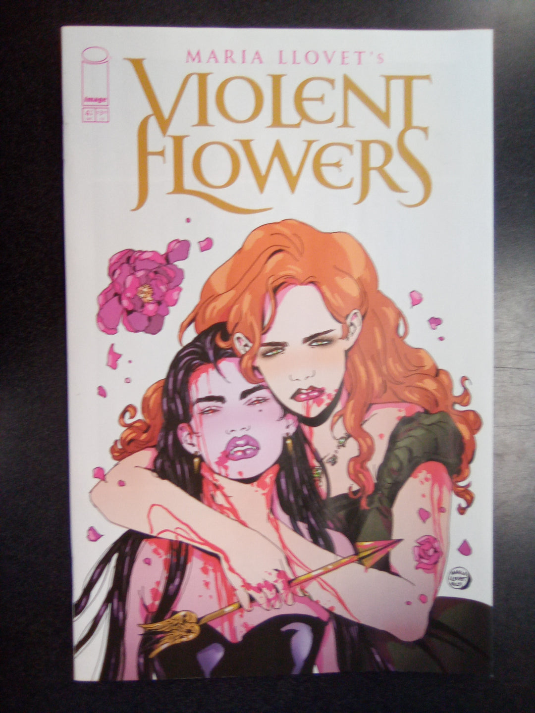 Violent Flowers #4 (Of 4) Cover A Maria Llovet