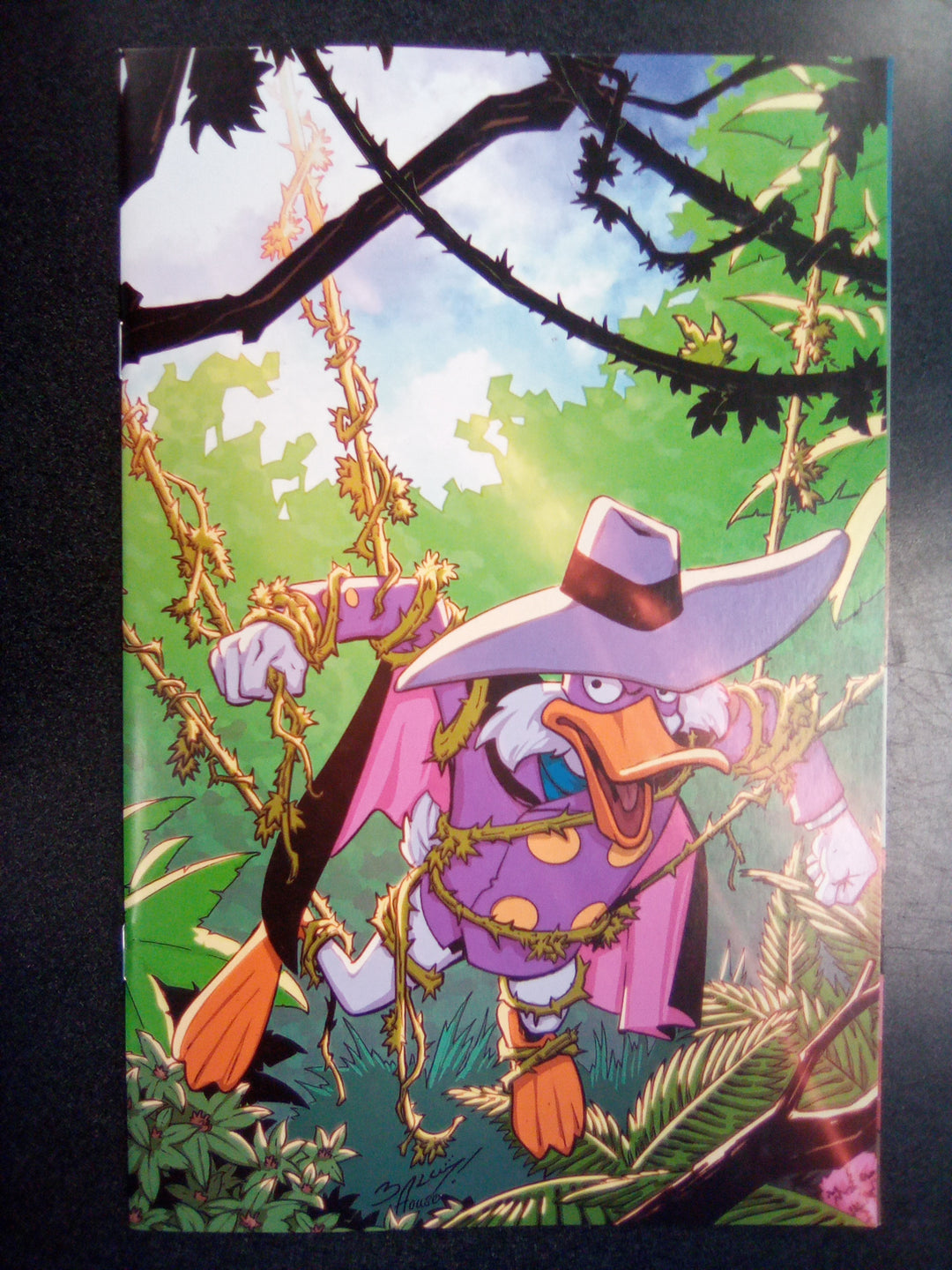 Darkwing Duck #2 Cover O 1:20 Bagley Virgin Variant