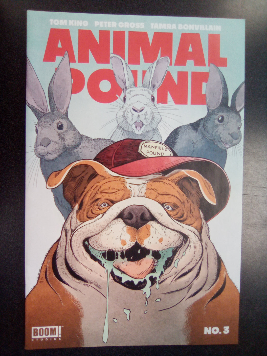 Animal Pound #3 (Of 5) Cover A Gross