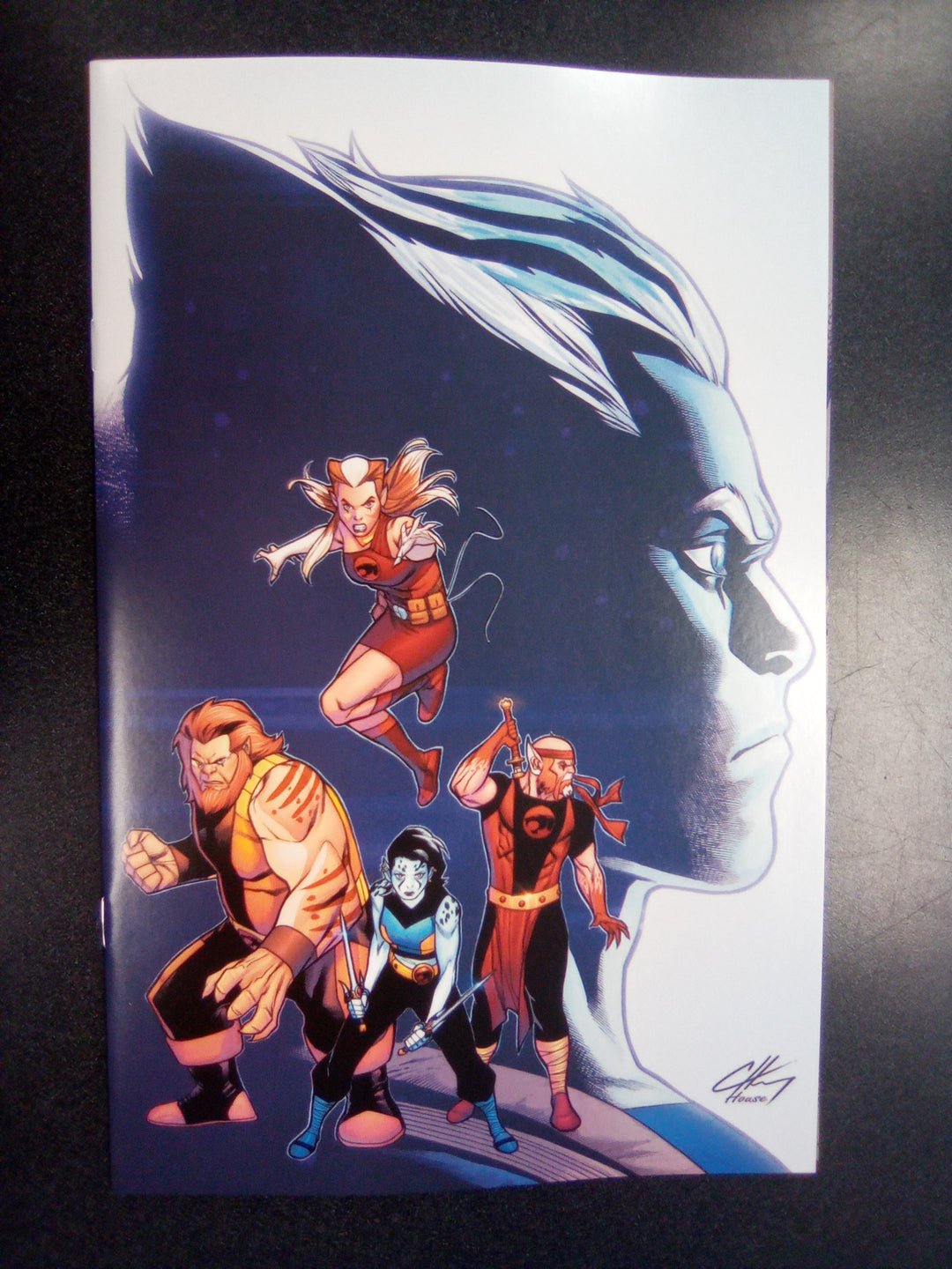 Thundercats Lost #2 Cover Q 25 Copy Variant Edition Henry Virgin