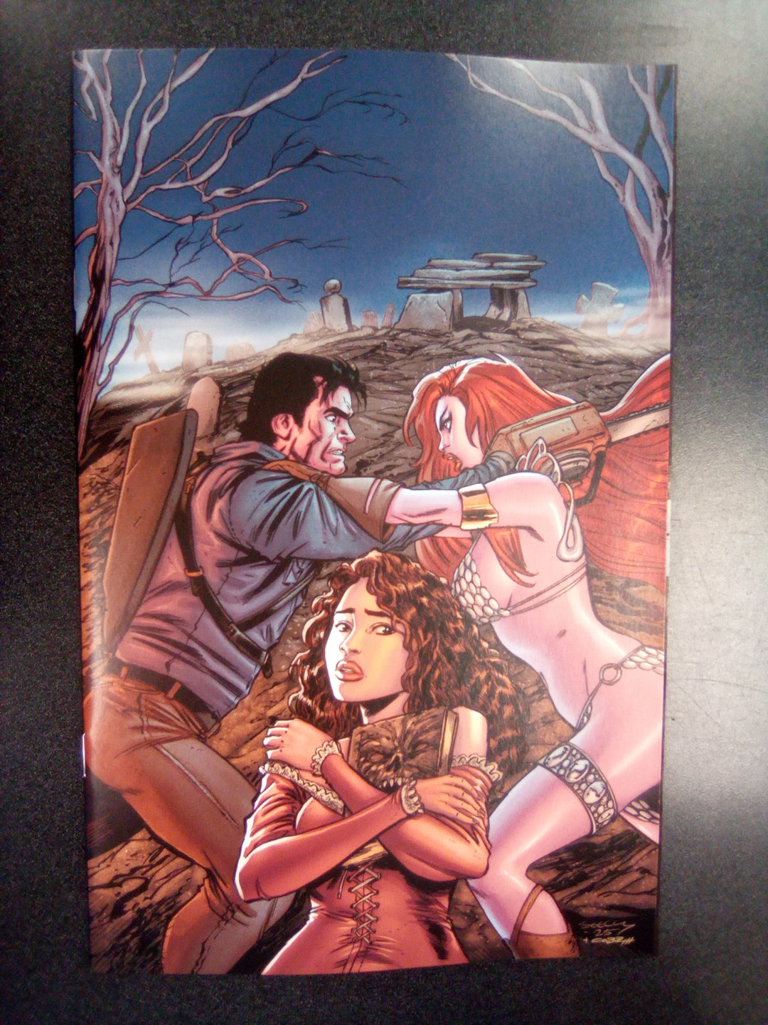 Red Sonja vs Army Of Darkness #5 Cover K 1:20 Tim Seeley Full Art Variant