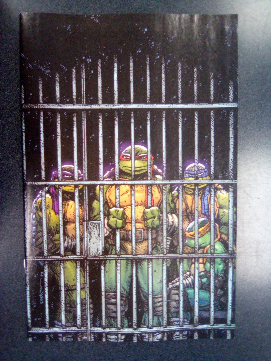 Teenage Mutant Ninja Turtles #11 Variant Ri (10) (Eastman Full Art)
