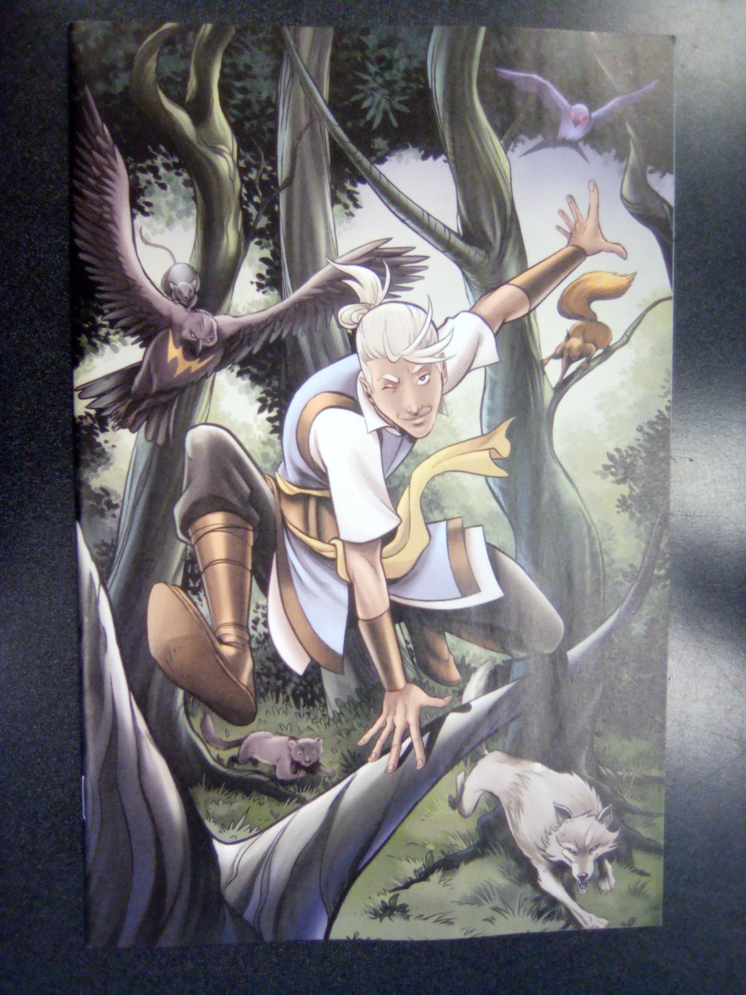 The Last Witch: Blood & Betrayal #3 C 1:10 Variant Edition (Rooth)