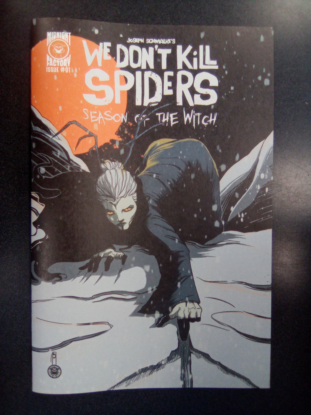 We Don't Kill Spiders Season Of The Witch #1 Cover A Joseph Schmalke