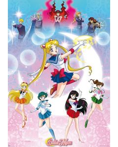 Sailor Moon Moonlight