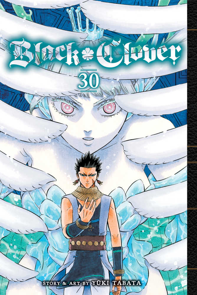 Black Clover Graphic Novel Volume 30