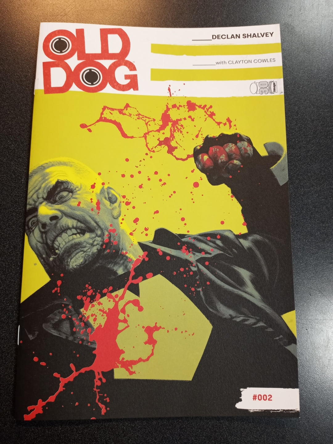 Old Dog #2 Cover B Smallwood