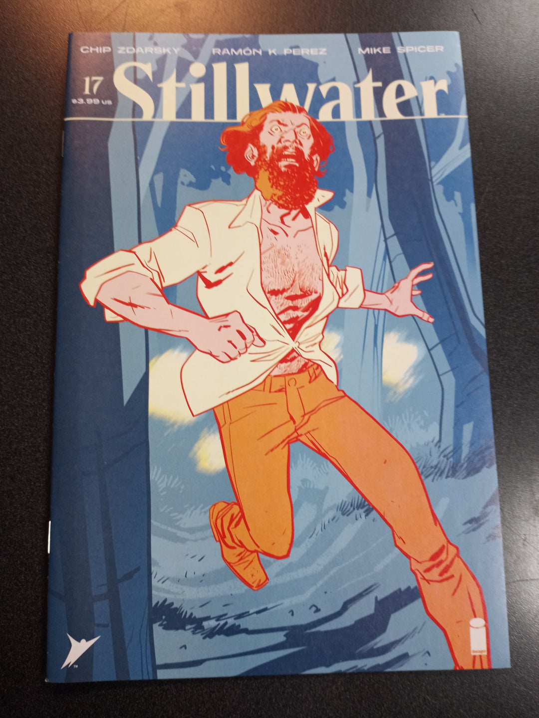 Stillwater By Zdarsky & Perez #17